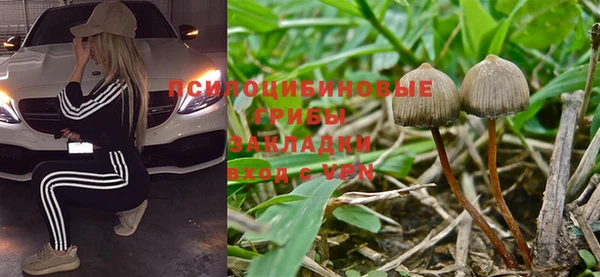 твердый Абдулино