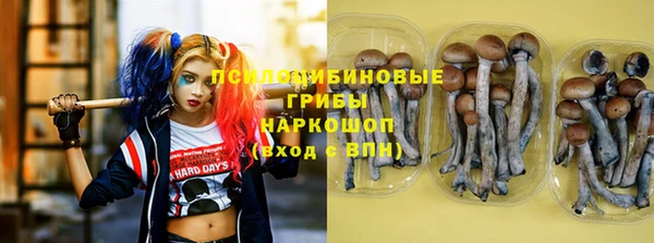 каннабис Алексеевка