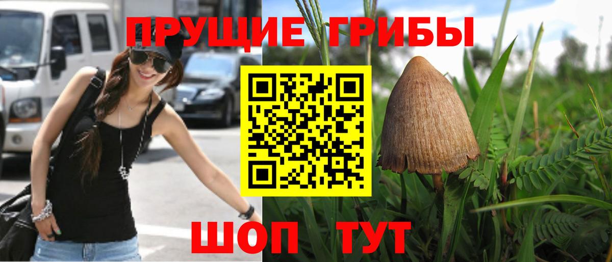 Псилоцибиновые грибы MAGIC MUSHROOMS Севастополь